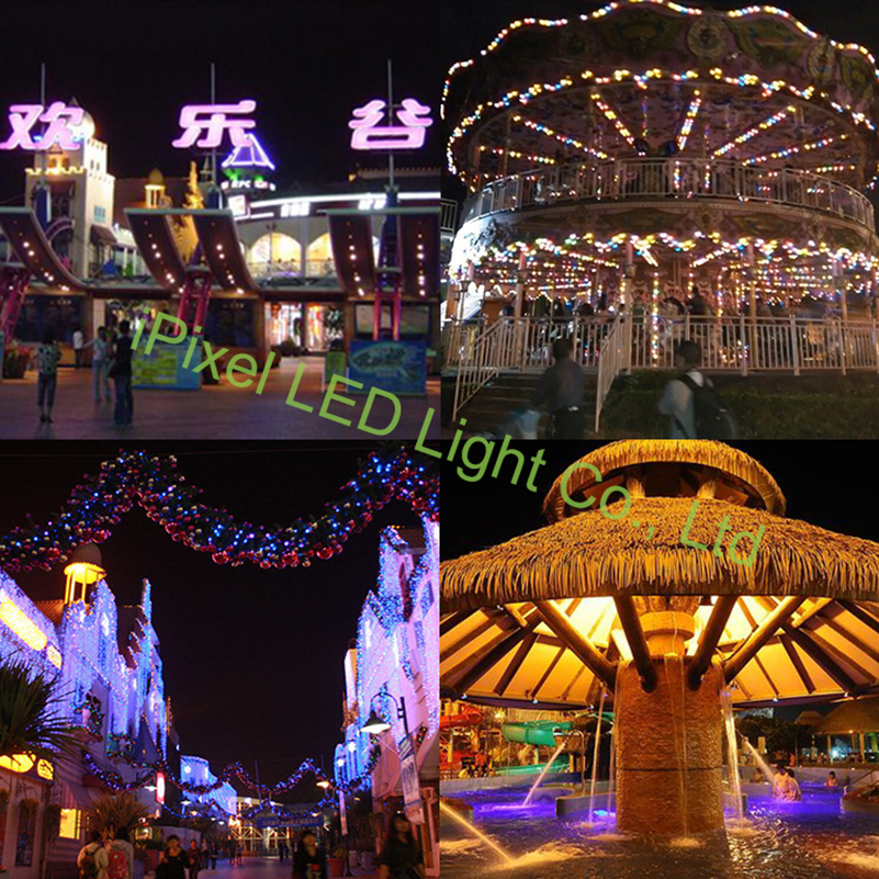 Amusement park LED light