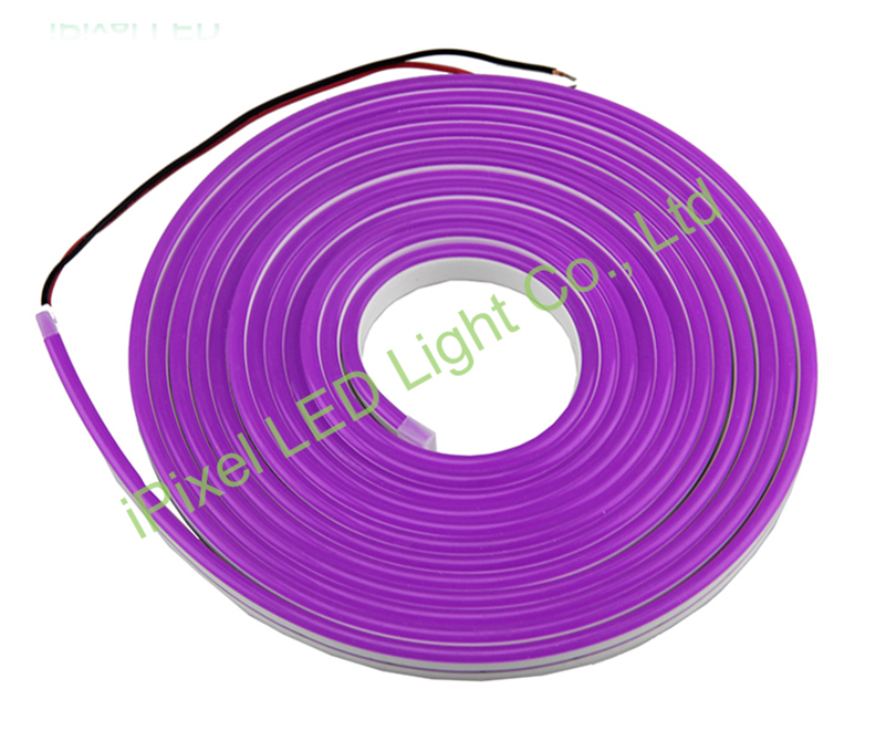 Customer visiting for Single color Mini LED Neon