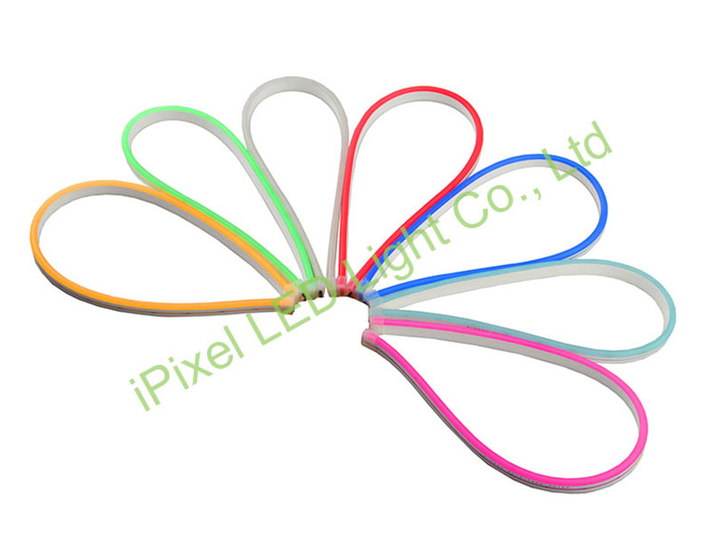 Customer visiting for Single color Mini LED Neon