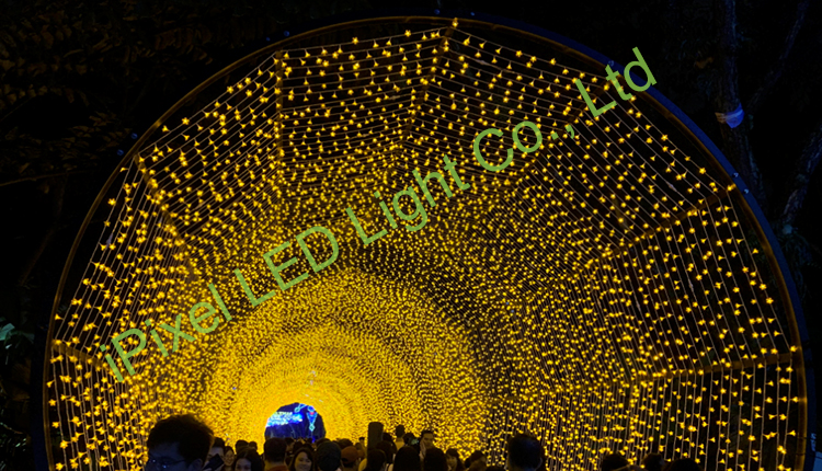The flowers fairy lights for Gardens By The Bay’s Christmas Wonderland 2019