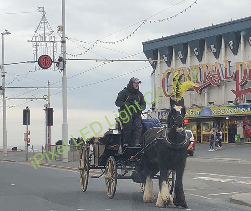 RGB LED Neon Decoration in Blackpool UK