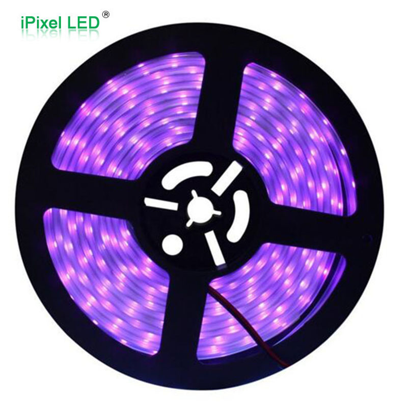 UV LED strip 60LEDs/M 435nm DC12V