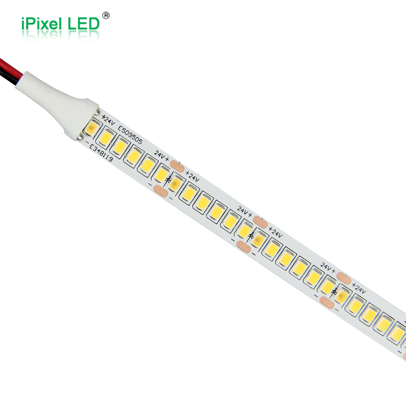 Constant current 10mm single color 2835 led strip 240LEDs/m DC24V