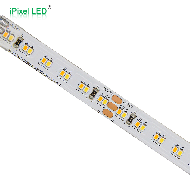 Dual color 2216 LED strip  240LEDs/M DC24V