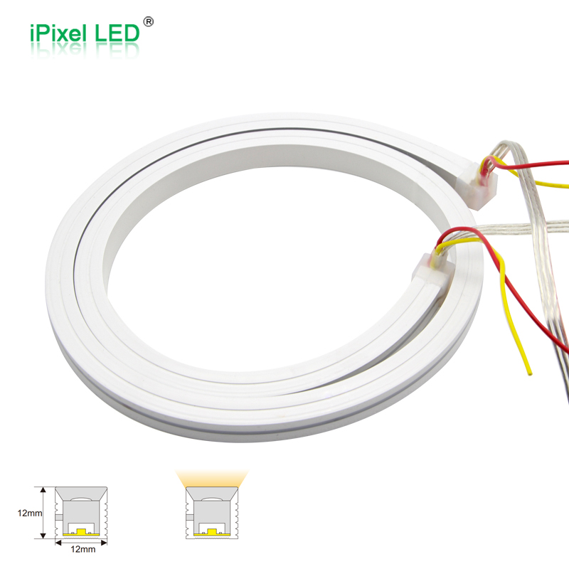 12x12 DMX single color LED Neon flex