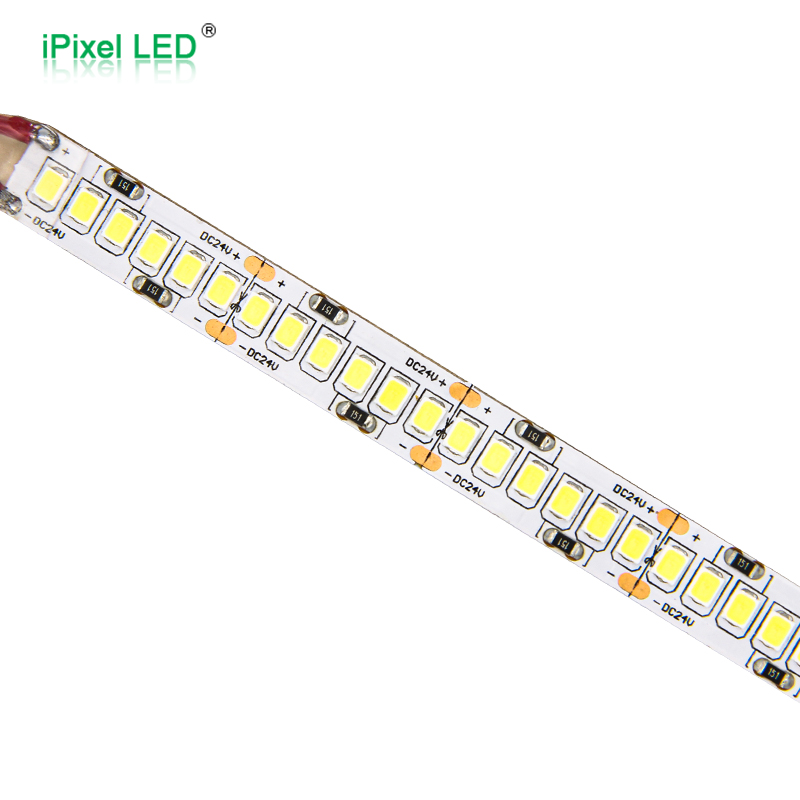 SMD2835 10mm single color LED strip 240 LEDs/M DC12V/DC24V