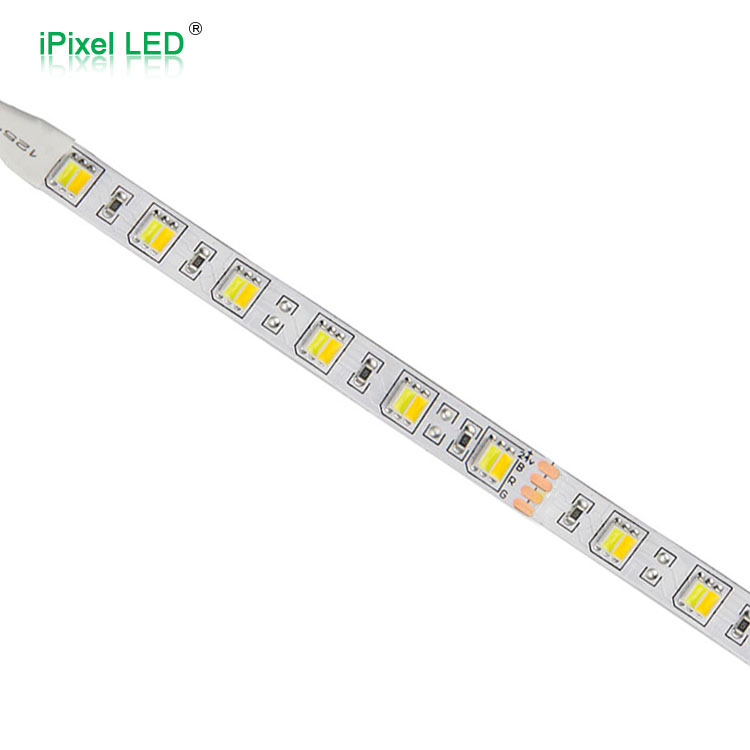 Dual color 5050 LED Tape Light 60LEDs/M DC24V