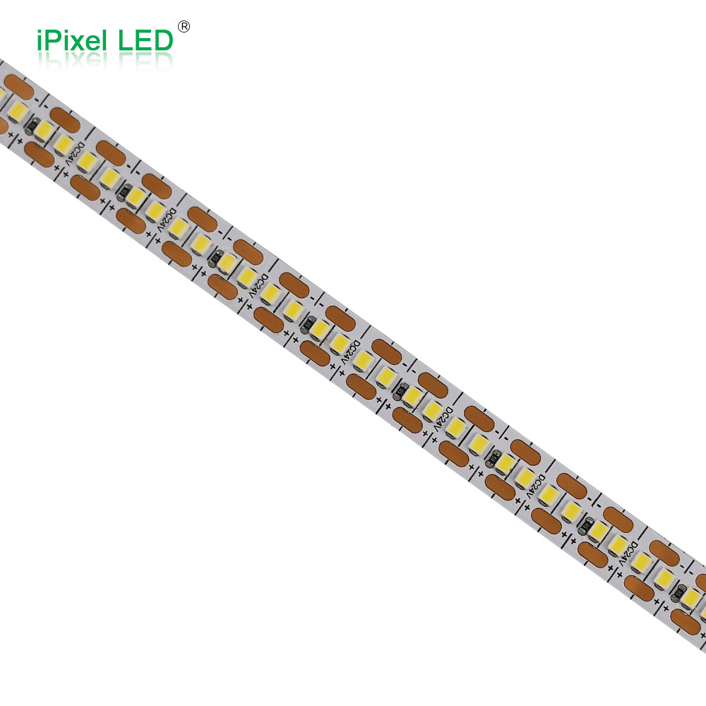 SMD 2219 single color 8mm LED strip 304LEDs/m