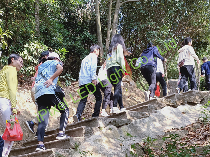 1764804080574408.jpg 2.jpg