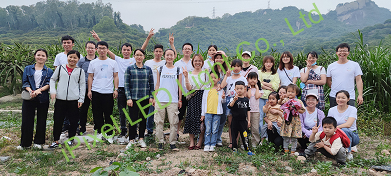 1764804121256377.jpg 4.jpg